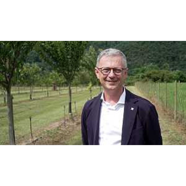 L'assessore Zannier in un castagneto delle Valli del Natisone - L'assessore Zannier in un castagneto delle Valli del Natisone