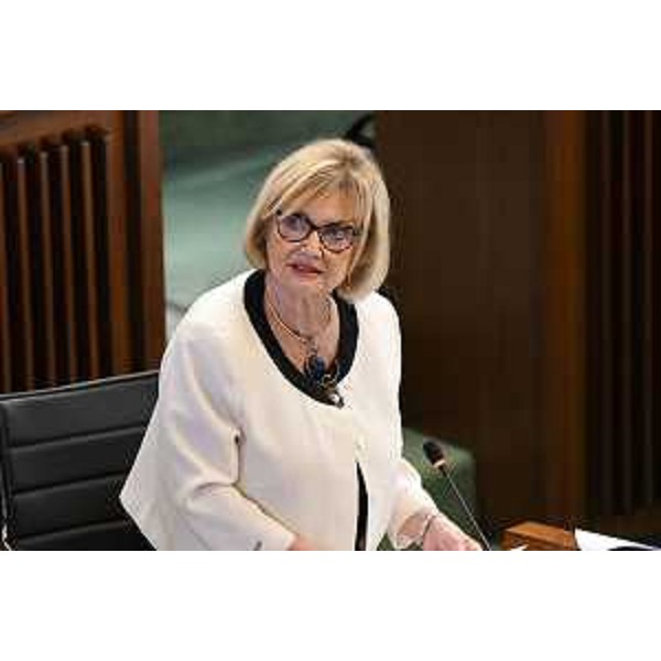 Laura Fasiolo (Pd) - Laura Fasiolo (Pd)