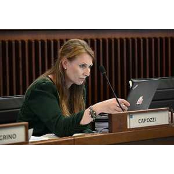 Rosaria Capozzi (M5S) - Rosaria Capozzi (M5S)