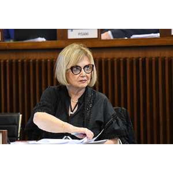 Laura Fasiolo (Pd) - Laura Fasiolo (Pd)