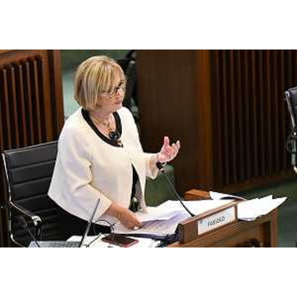 Laura Fasiolo (Pd) - Laura Fasiolo (Pd)