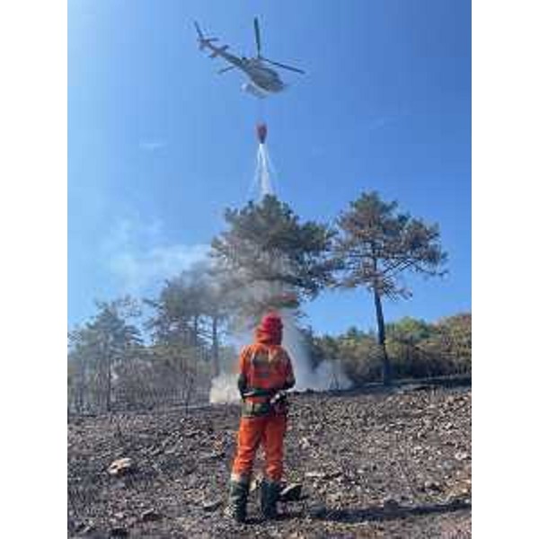 Operatori del Corpo forestale regionale all'opera a Monfalcone - Operatori del Corpo forestale regionale all'opera a Monfalcone