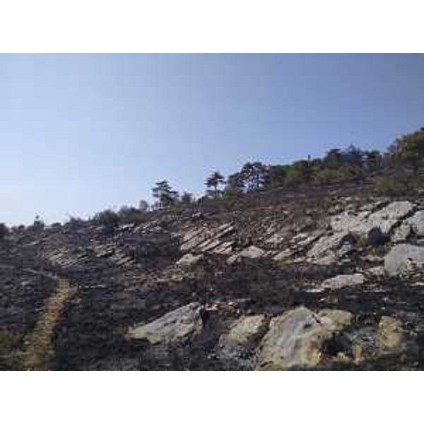 L'incendio a Monfalcone - L'incendio a Monfalcone