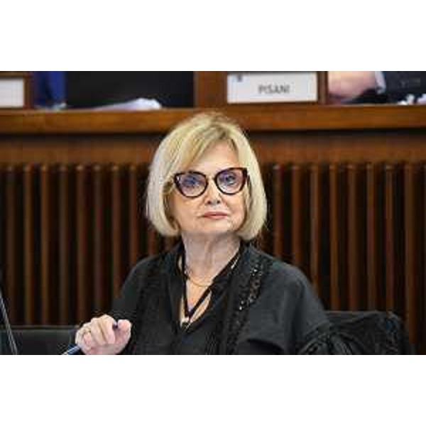 Laura Fasiolo (Pd) - Laura Fasiolo (Pd)