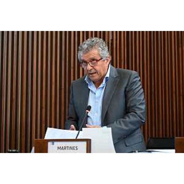 Francesco Martines (Pd) - Francesco Martines (Pd)