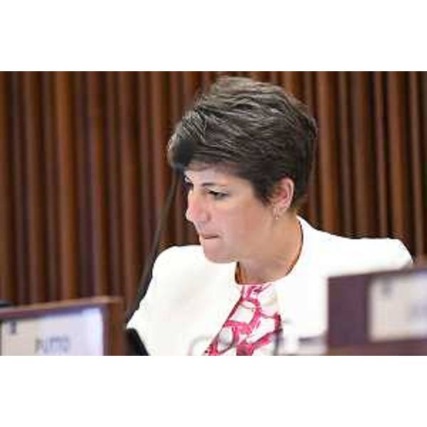 Giulia Massolino (Patto per l'Autonomia-Civica Fvg) - Giulia Massolino (Patto per l'Autonomia-Civica Fvg)