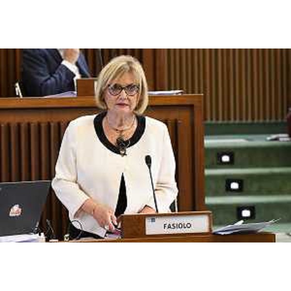 Laura Fasiolo (Pd) - Laura Fasiolo (Pd)