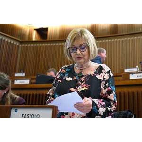 Laura Fasiolo (Pd) - Laura Fasiolo (Pd)