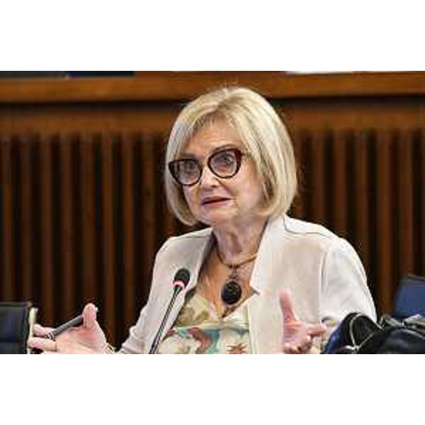 Laura Fasiolo (Pd) - Laura Fasiolo (Pd)