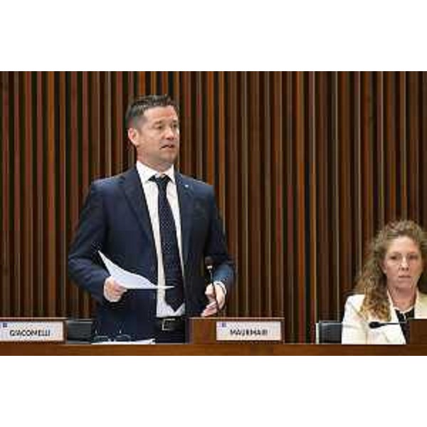 Markus Maurmair (FdI) - Markus Maurmair (FdI)