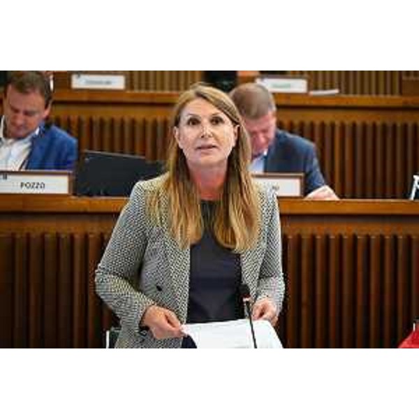 Rosaria Capozzi (M5S) - Rosaria Capozzi (M5S)