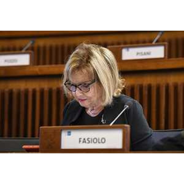 Laura Fasiolo (Pd) - Laura Fasiolo (Pd)