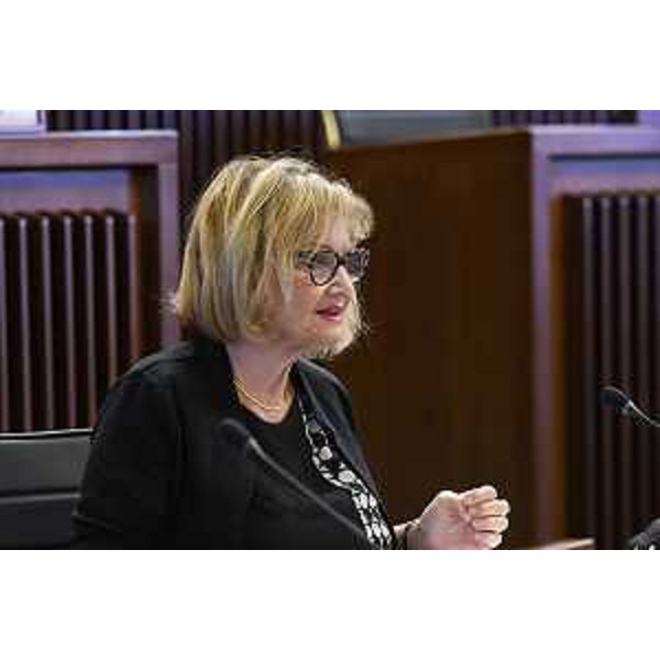 Laura Fasiolo (Pd) - Laura Fasiolo (Pd)