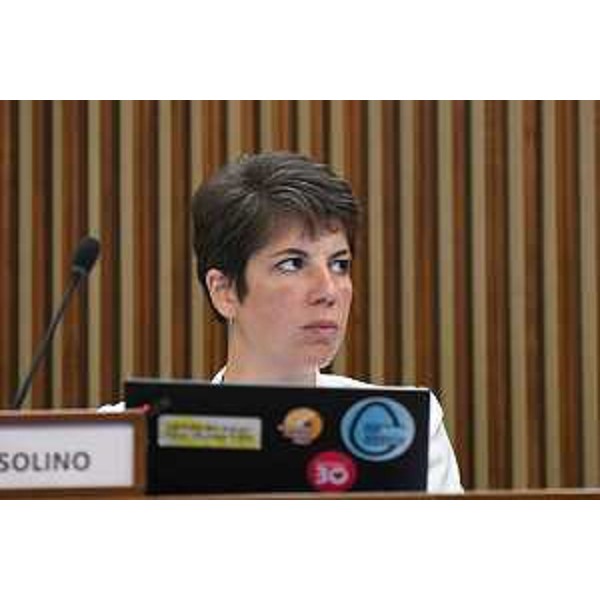 Giulia Massolino (Patto per l'Autonomia-Civica Fvg) - Giulia Massolino (Patto per l'Autonomia-Civica Fvg)