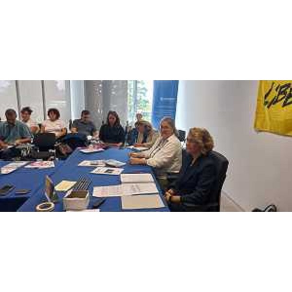 Il tavolo dei relatori e una parte del pubblico che ha partecipato al seminario organizzato a Udine - Il tavolo dei relatori e una parte del pubblico che ha partecipato al seminario organizzato a Udine