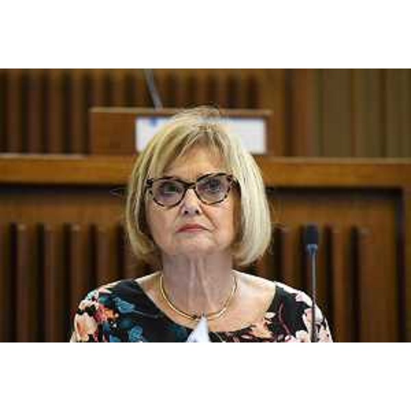 Laura Fasiolo (Pd) - Laura Fasiolo (Pd)