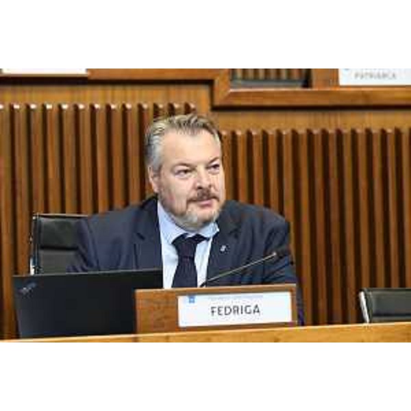 Il presidente della V Commissione consiliare, Diego Bernardis (Fedriga presidente) - Il presidente della V Commissione consiliare, Diego Bernardis (Fedriga presidente)