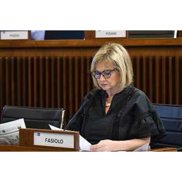 Laura Fasiolo (Pd) - Laura Fasiolo (Pd)