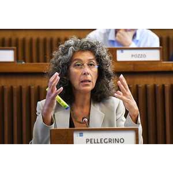 Serena Pellegrino (Avs) - Serena Pellegrino (Avs)