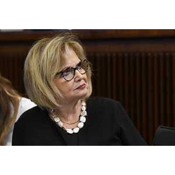 Laura Fasiolo (Pd) - Laura Fasiolo (Pd)