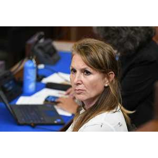 Rosaria Capozzi (M5S) - Rosaria Capozzi (M5S)