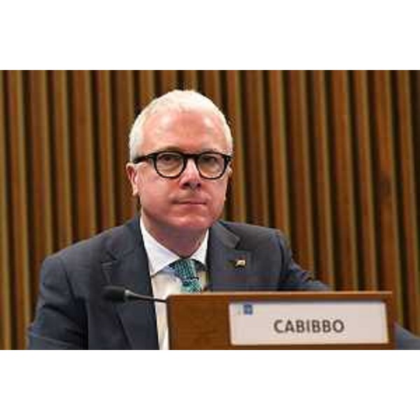 Andrea Cabibbo (FI) - Andrea Cabibbo (FI)