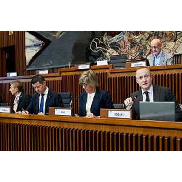 L'audizione di Francesco Clarotti, amministratore unico di FVG Plus, in I Commissione consiliare presieduta da Markus Maurmair (FdI) - L'audizione di Francesco Clarotti, amministratore unico di FVG Plus, in I Commissione consiliare presieduta da Markus Maurmair (FdI)