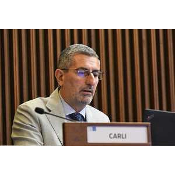 Andrea Carli (Pd) - Andrea Carli (Pd)