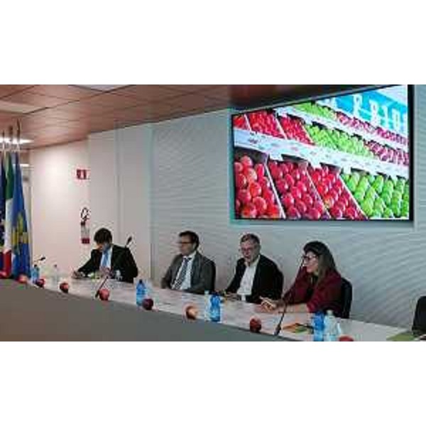 Una fase della presentazione della 54. edizione della mostra regionale della mela di Pantianicco, svoltasi nella sede della Regione a Udine alla presenza dell'assessore regionale Stefano Zannier - Una fase della presentazione della 54. edizione della mostra regionale della mela di Pantianicco, svoltasi nella sede della Regione a Udine alla presenza dell'assessore regionale Stefano Zannier