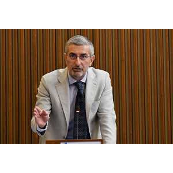 Andrea Carli (Pd) - Andrea Carli (Pd)