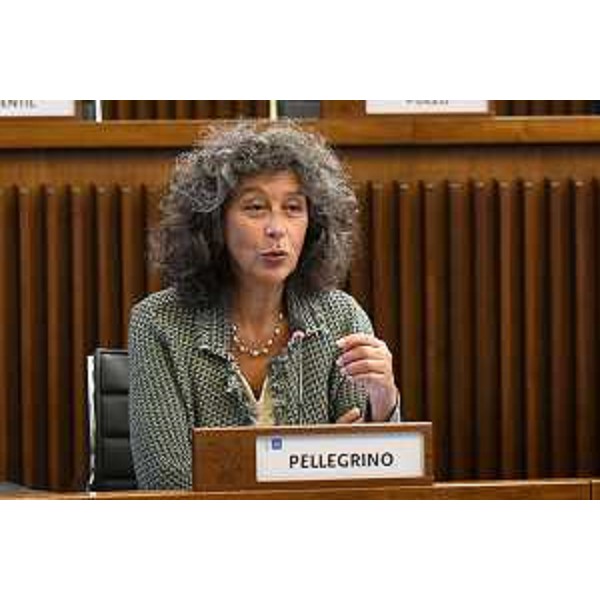 Serena Pellegrino (Avs) - Serena Pellegrino (Avs)