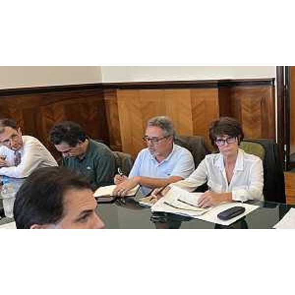 L'assessore Alessia Rosolen al Tavolo ministeriale - L'assessore Alessia Rosolen al Tavolo ministeriale