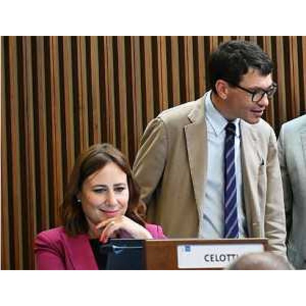 Manuela Celotti e Nicola Conficoni (Pd) - Manuela Celotti e Nicola Conficoni (Pd)