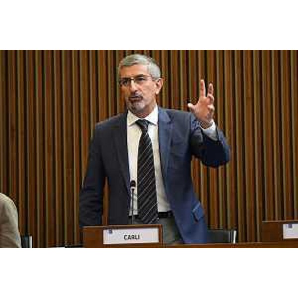 Andrea Carli (Pd), relatore di minoranza - Andrea Carli (Pd), relatore di minoranza