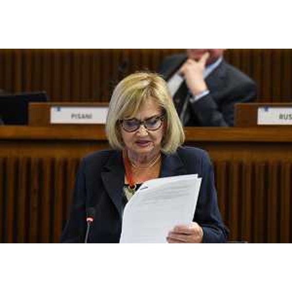 Laura Fasiolo (Pd) - Laura Fasiolo (Pd)