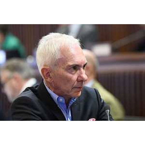 Roberto Novelli (FI) - Roberto Novelli (FI)