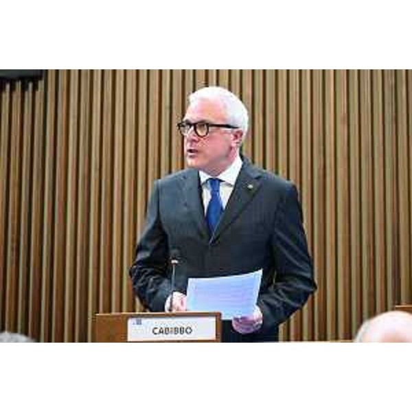 Andrea Cabibbo (Forza Italia) - Andrea Cabibbo (Forza Italia)