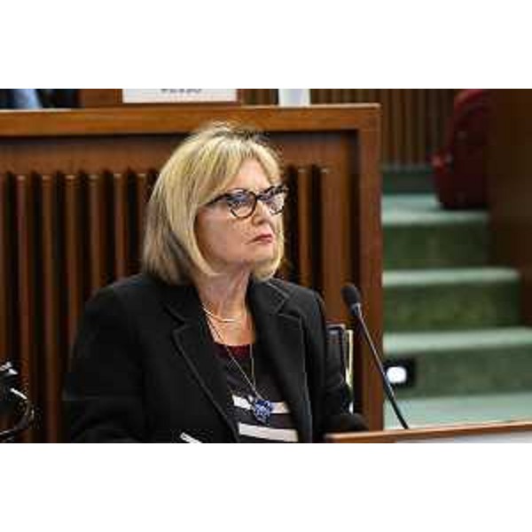 Laura Fasiolo (Pd) - Laura Fasiolo (Pd)