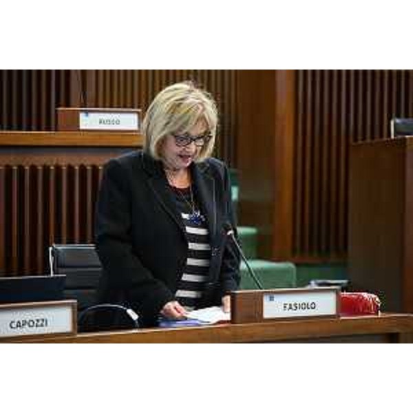 Laura Fasiolo (Pd) - Laura Fasiolo (Pd)