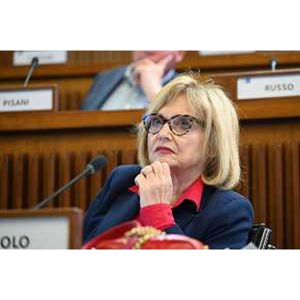 Laura Fasiolo (Pd) - Laura Fasiolo (Pd)