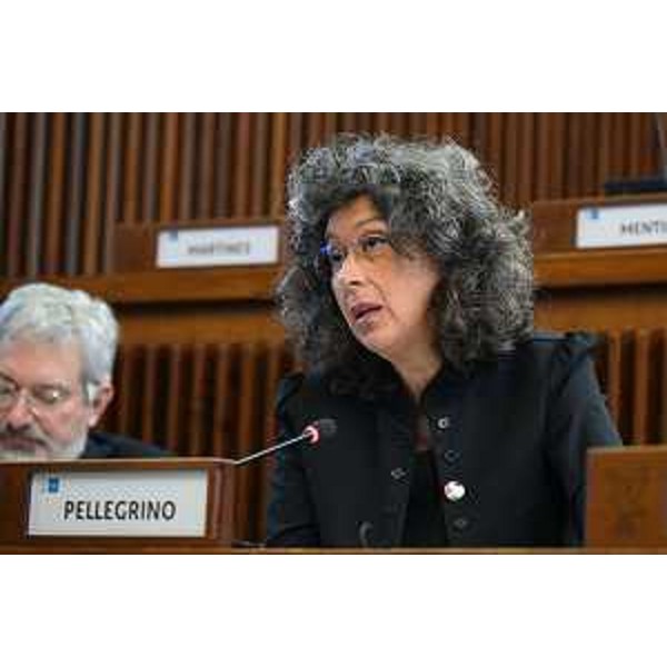 Serena Pellegrino (Avs) - Serena Pellegrino (Avs)