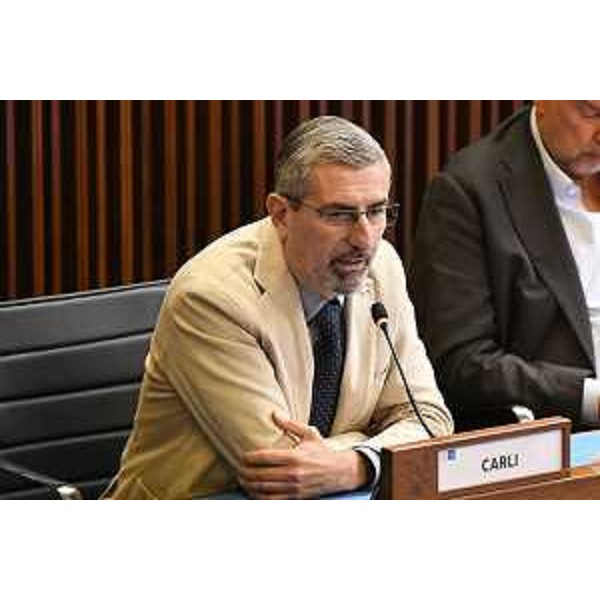 Andrea Carli (Pd) - Andrea Carli (Pd)