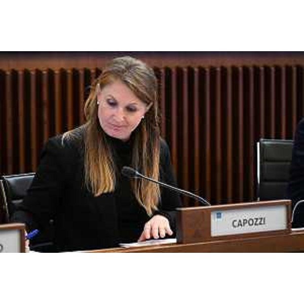 Rosaria Capozzi (M5S) - Rosaria Capozzi (M5S)