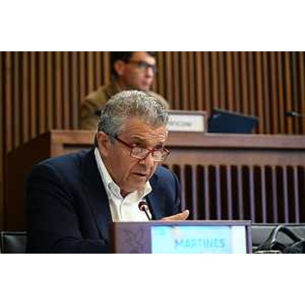 Francesco Martines (Pd) - Francesco Martines (Pd)