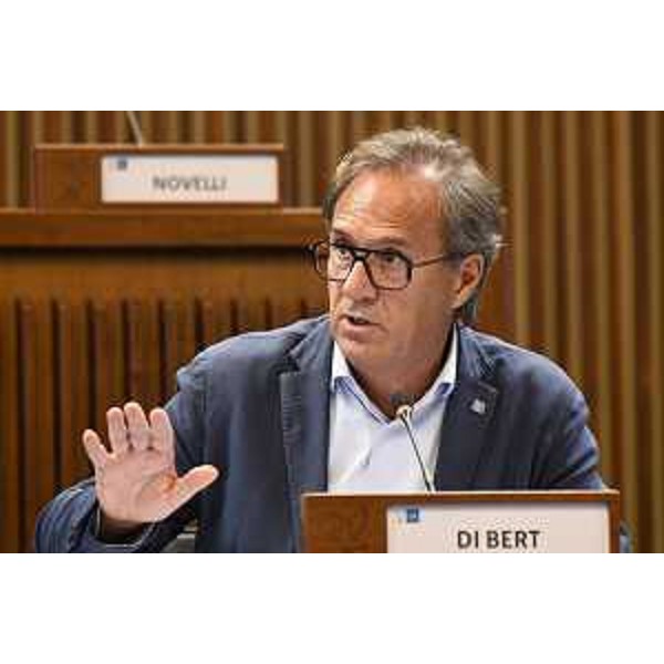 Mauro Di Bert (Fp) - Mauro Di Bert (Fp)