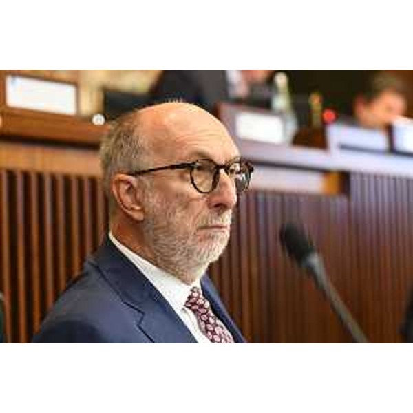 L'assessore Riccardi - L'assessore Riccardi