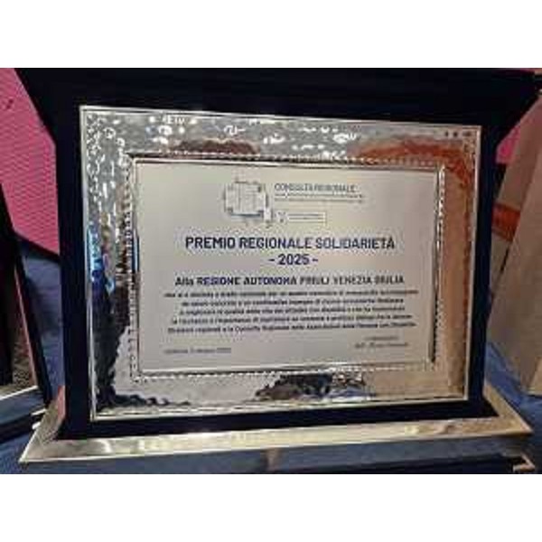 La targa del Premio alla Regione FVG - La targa del Premio alla Regione FVG