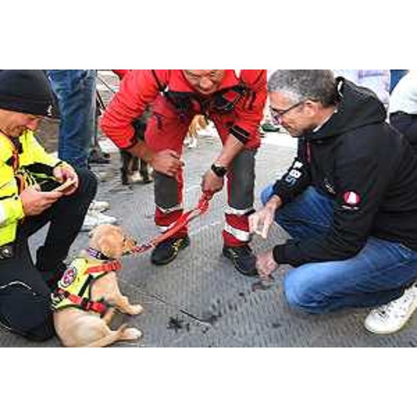 L'assessore Roberti alla benedizione degli animali - L'assessore Roberti alla benedizione degli animali