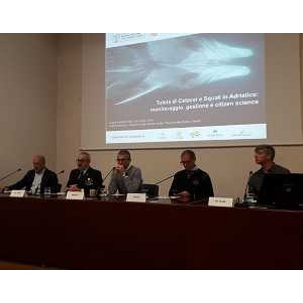 Un momento del del workshop "Tutela di cetacei e squali in Adriatico". - Un momento del del workshop "Tutela di cetacei e squali in Adriatico".