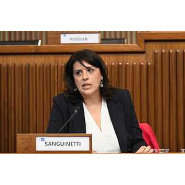 Anna Sanguinetti, coordinatrice del gruppo Azioni positive - Anna Sanguinetti, coordinatrice del gruppo Azioni positive